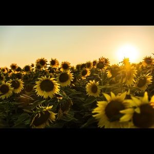 Meet your Posher, Mariah